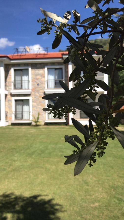 Oliva Casa Apart Hotel Datca Εξωτερικό φωτογραφία